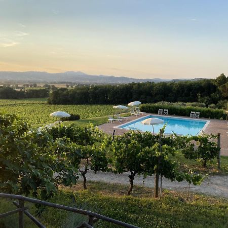 Poggio Alle Vigne Torgiano Zewnętrze zdjęcie