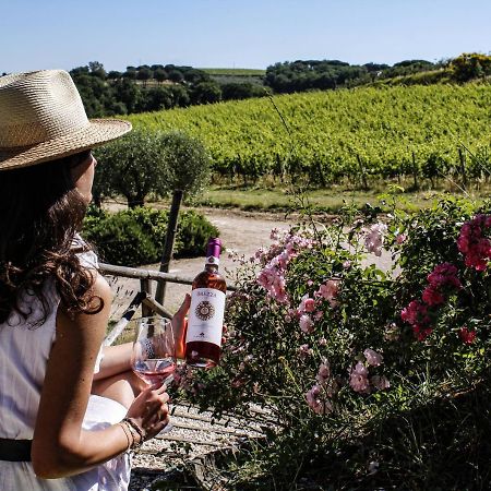 Poggio Alle Vigne Torgiano Zewnętrze zdjęcie