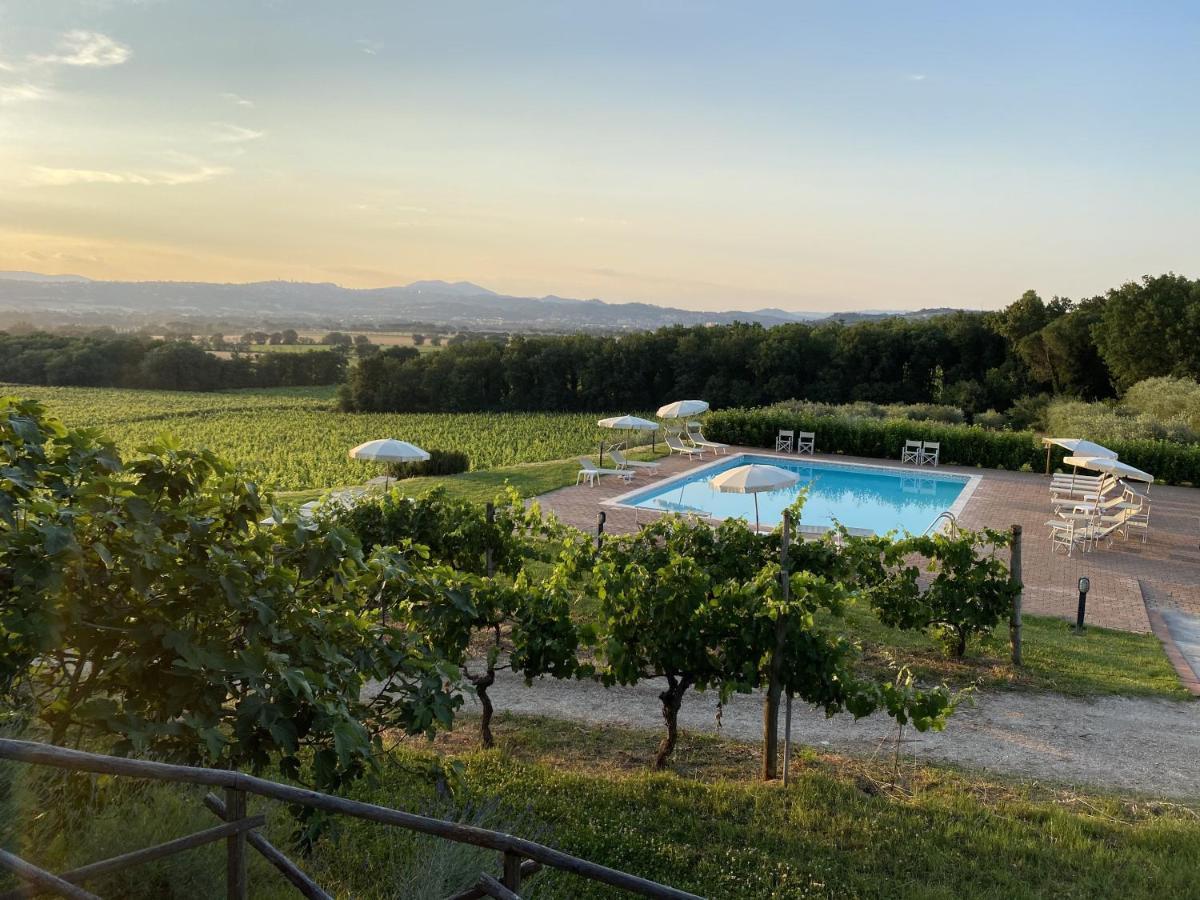 Poggio Alle Vigne Torgiano Zewnętrze zdjęcie