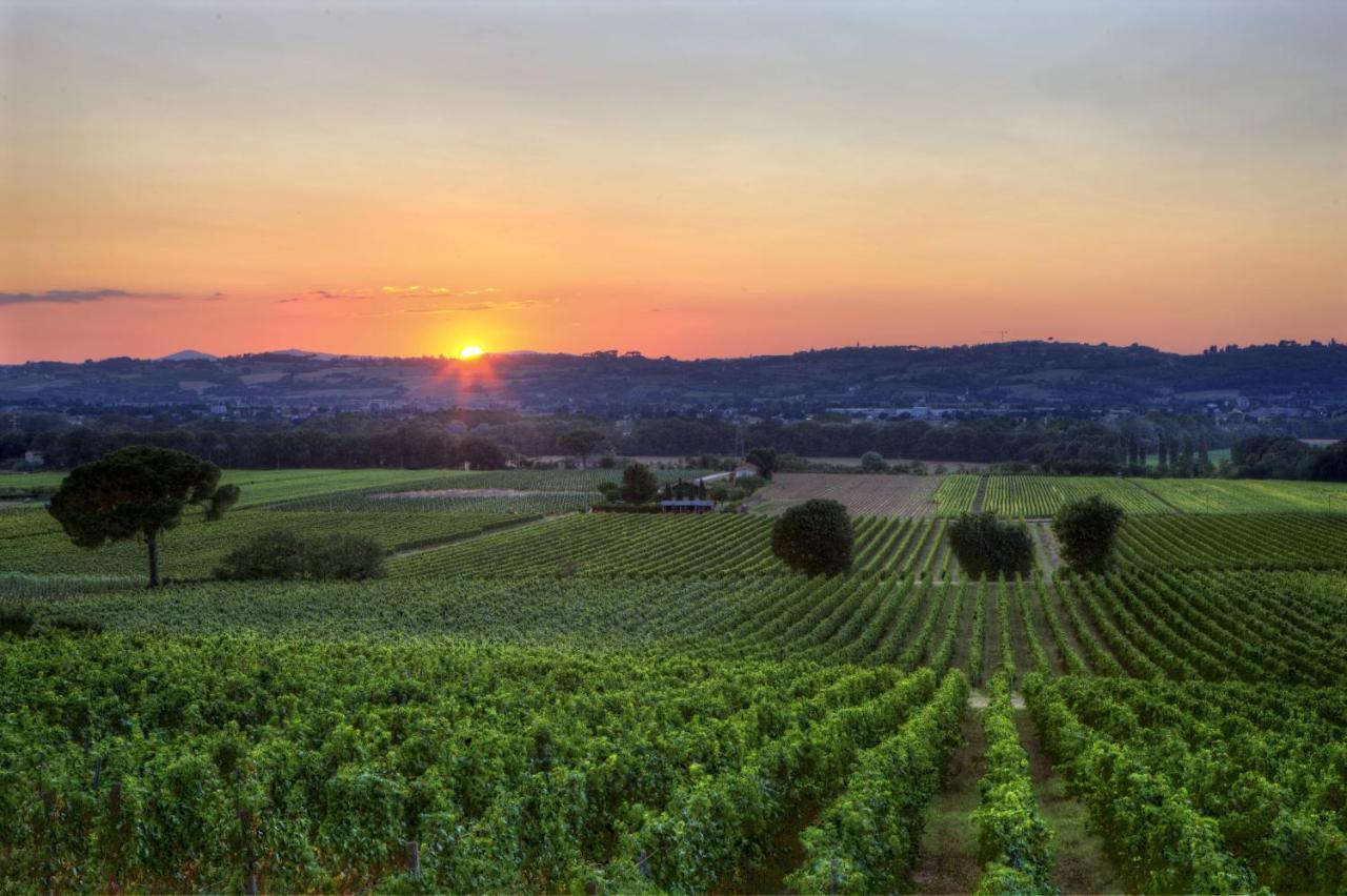 Poggio Alle Vigne Torgiano Zewnętrze zdjęcie