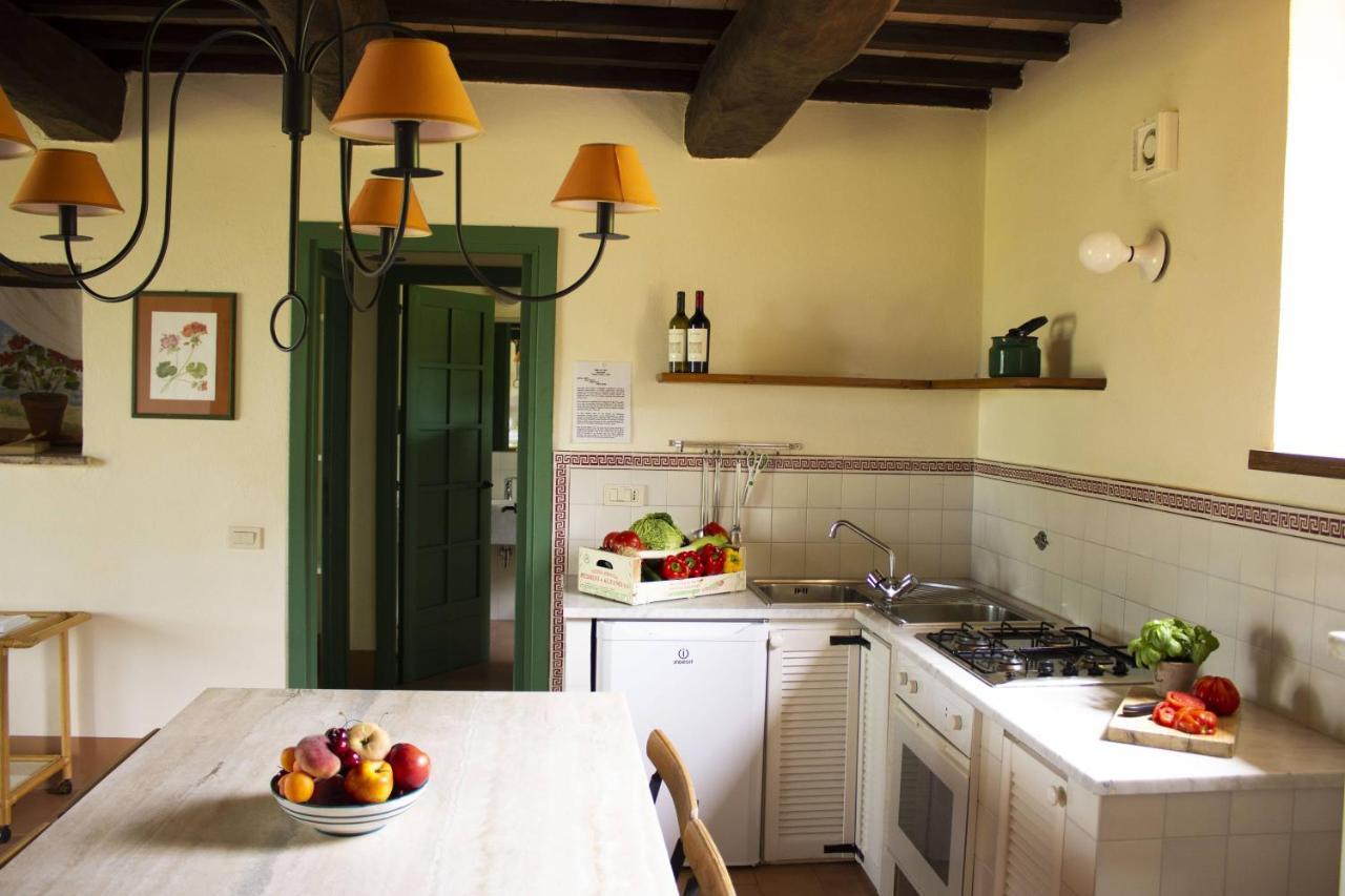 Poggio Alle Vigne Torgiano Zewnętrze zdjęcie