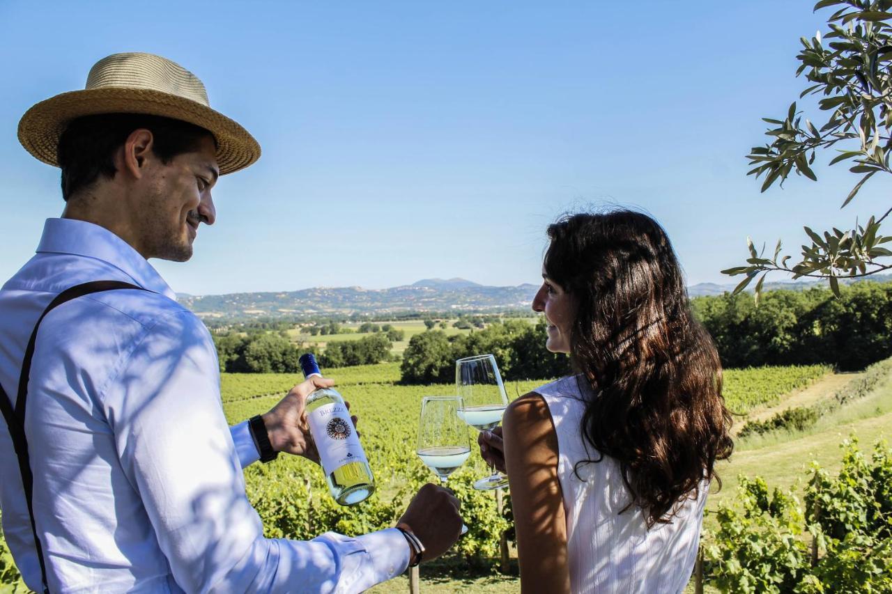 Poggio Alle Vigne Torgiano Zewnętrze zdjęcie