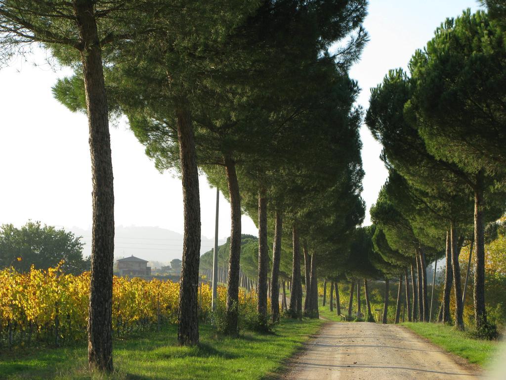 Poggio Alle Vigne Torgiano Zewnętrze zdjęcie