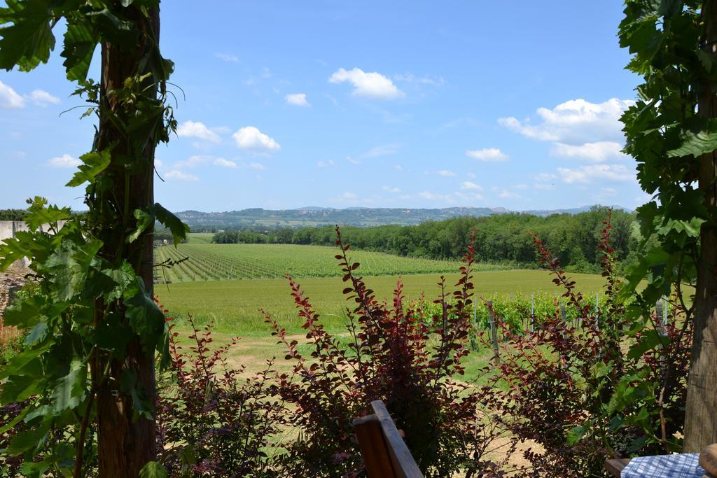 Poggio Alle Vigne Torgiano Zewnętrze zdjęcie